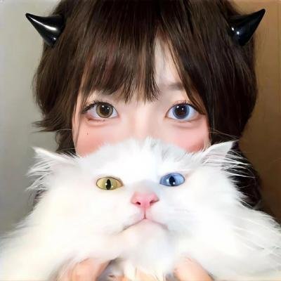 迷色布局