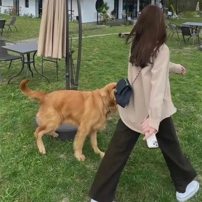 钟楼爱人